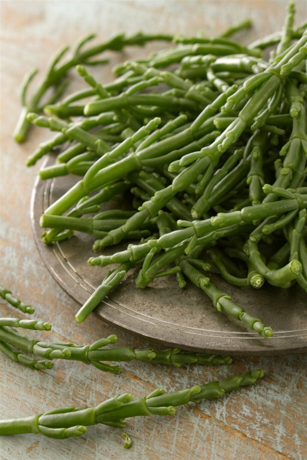 Fresh samphire, a native sea vegetable, plated for a native dining experience