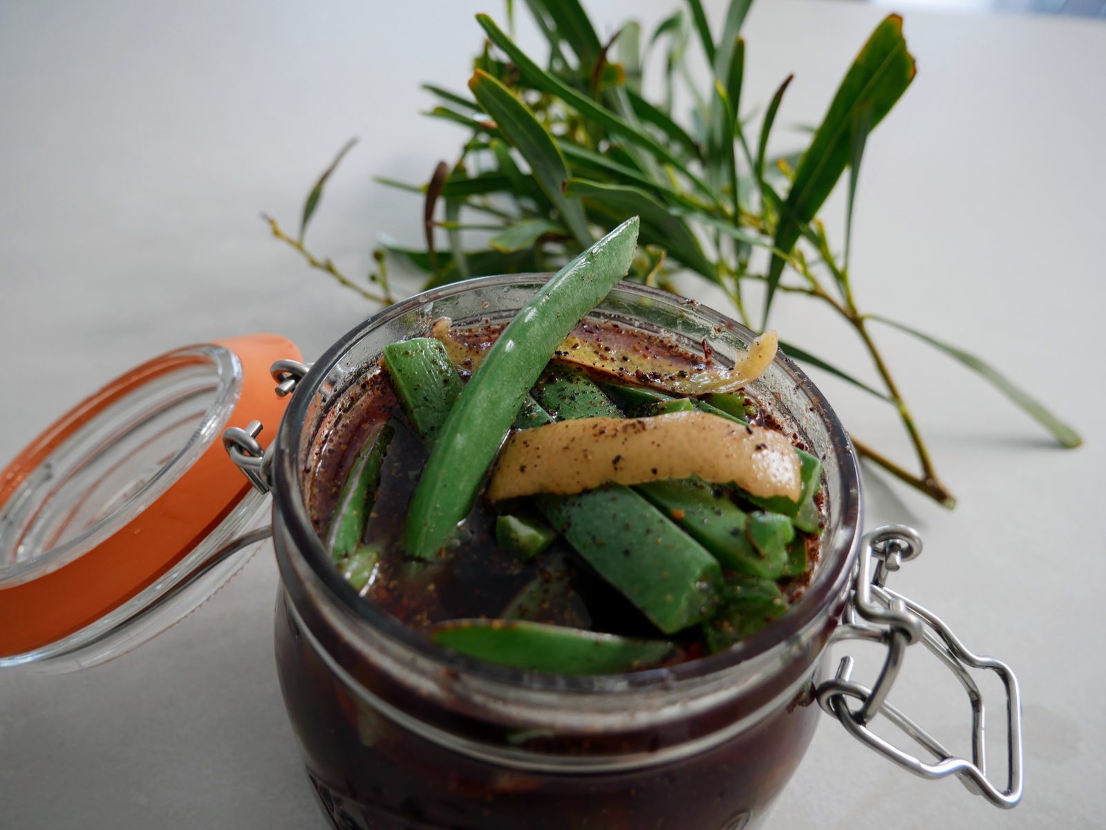 A jar of pickled pigface with native leaves on a bench
